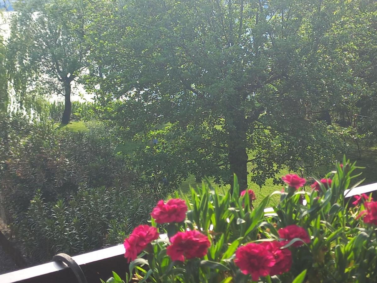 Appartamento Miralago Con Giardino Sul Lago Gavirate Exterior foto